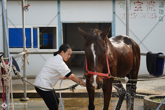 20191226horsemanship10