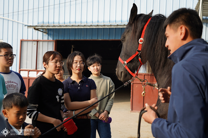 20191226horsemanship05