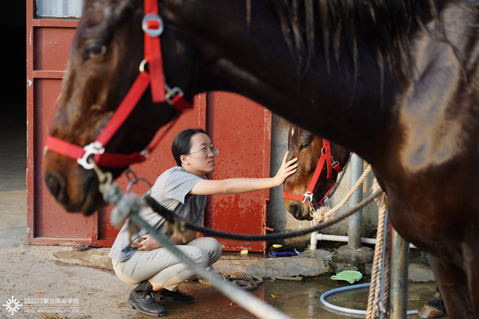 20191226horsemanship07