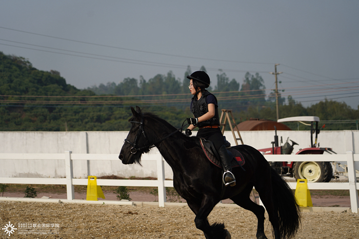 20191226horsemanship03