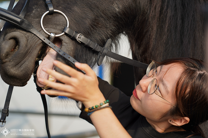 20191226horsemanship06